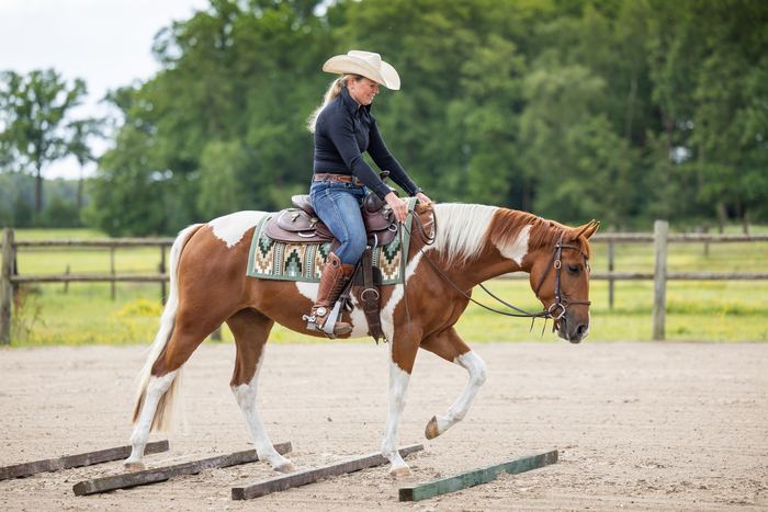 Canisia tijdens een training in de rijbak