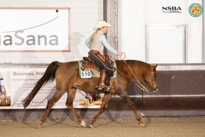 Paard in beweging tijdens een wedstrijd